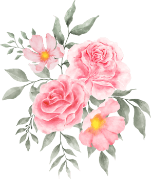 Pink Rose Flower Bouquet Arrangement Watercolor png