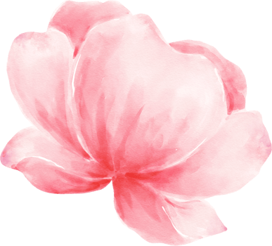 Pink Flower Watercolor Illustration png