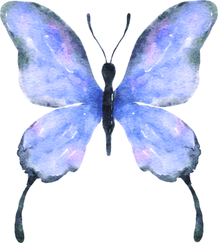 Butterfly Watercolor Illustration png