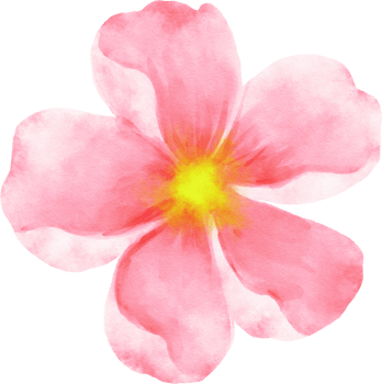 Pink Flower Watercolor Illustration png