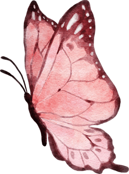 Butterfly Watercolor Illustration png