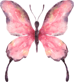 Butterfly Watercolor Illustration png