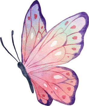 Butterfly Watercolor Illustration png