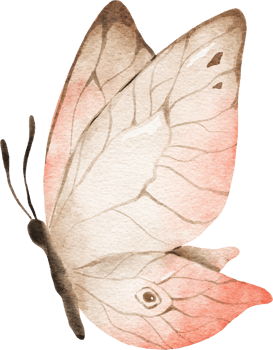 Butterfly Watercolor Illustration png