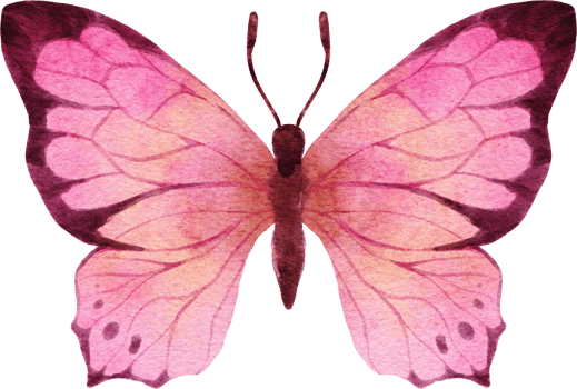 Butterfly Watercolor Illustration png