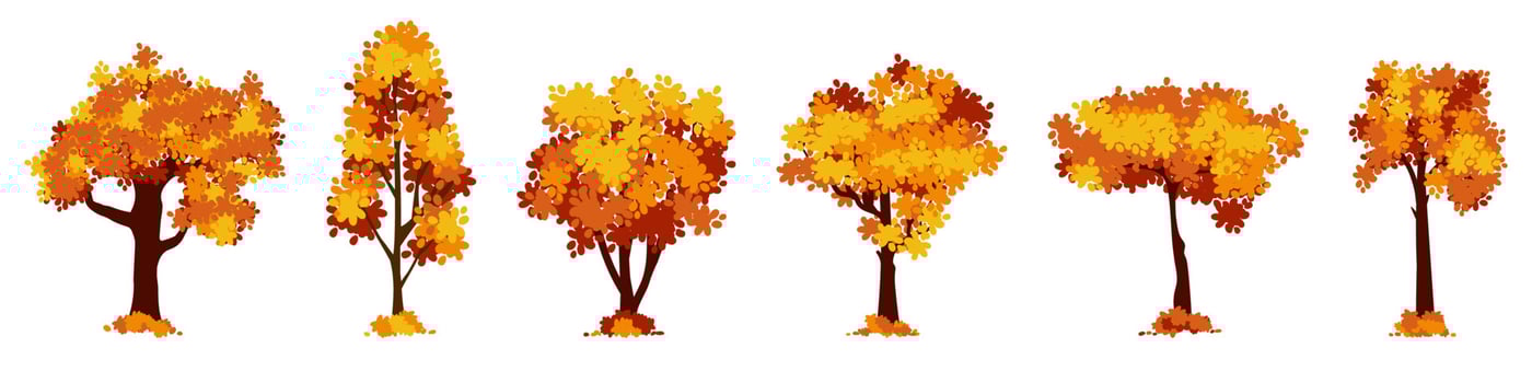 Set of cartoon autumn tree isolated on a white background. Vector element for fall landscape, autumn cards, kids books.