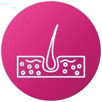 Skin Hair Icon Style vector