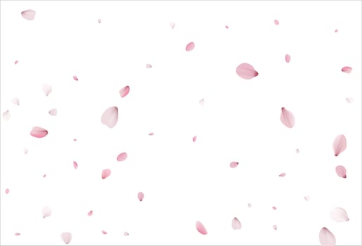Sakura petals background. Cherry petals backdrop vector