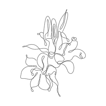 Abstract Flower Lily one line art drawing singulart aesthetic minimalist vector Isolated white background, Perfect for print, wall decor, phone case, shirt, sticker, pillow, acrylic, border, wallpaper