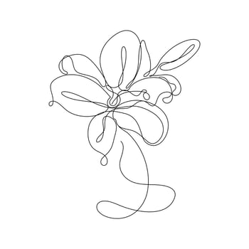 Abstract Flower Lily one line art drawing singulart aesthetic minimalist vector Isolated white background, Perfect for print, wall decor, phone case, shirt, sticker, pillow, acrylic, border, wallpaper