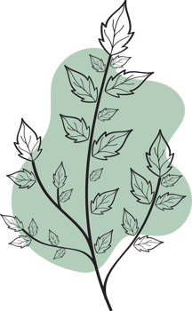 Floral flower hand drawn with organic freeform shape, Abstract botanical illustration png