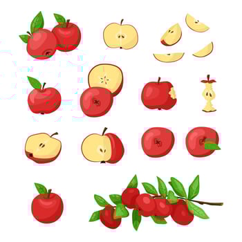 Set of red apples elements. Vector clipart illustration