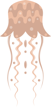 Jellyfish cartoon icon. Isolated cartoon set icon of jellyfish medusa. Illustration jellyfish isolated on white background png