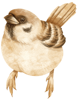 Watercolor sparrow bird illustration png