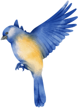 Watercolor blue bird illustration png
