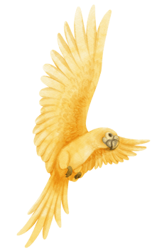 Watercolor lutino parrot bird illustration png