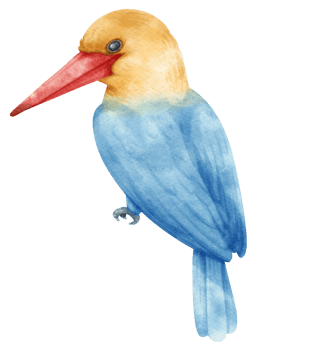 Watercolor stork billed kingfisher bird illustration png
