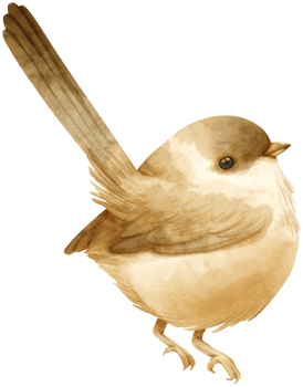 Watercolor Wren bird illustration png