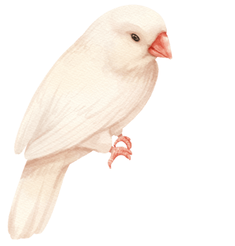 Watercolor finch bird illustration png