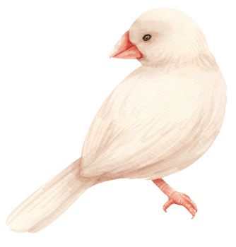 Watercolor finch bird illustration png
