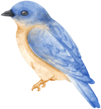 Watercolor blue bird illustration png