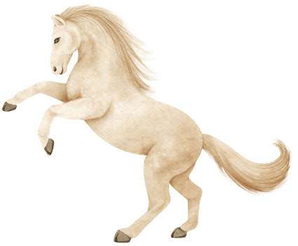 White Horse watercolor illustration png
