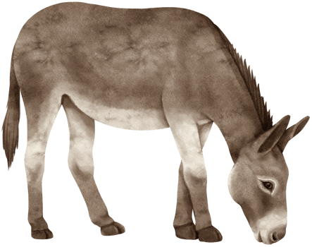 donkey watercolor farm animals png