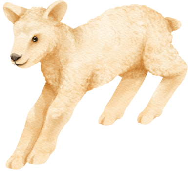 Baby Sheep watercolor farm animals png