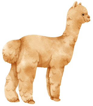 Alpaca watercolor farm animals png