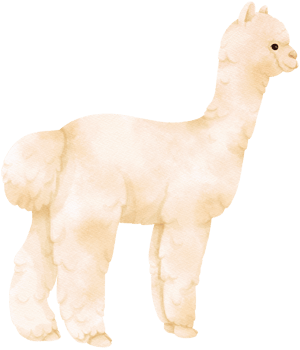 White Alpaca watercolor farm animals png