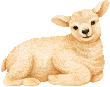 Baby Sheep watercolor farm animals png