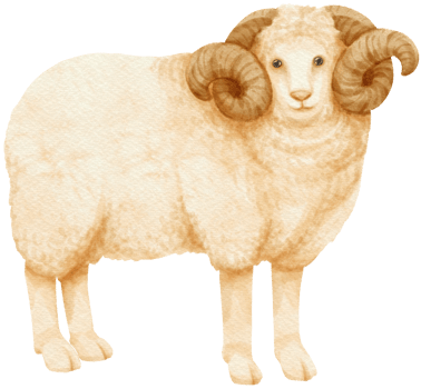 Sheep watercolor farm animals png