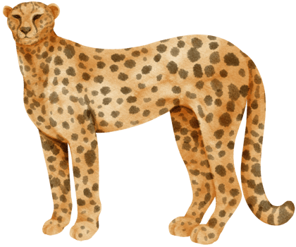 Cheetah savanna animals watercolor illustration png