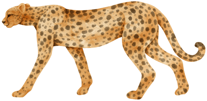 Cheetah savanna animals watercolor illustration png