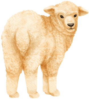 Sheep watercolor farm animals png
