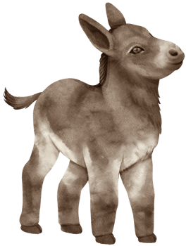 Cute baby donkey watercolor farm animals png