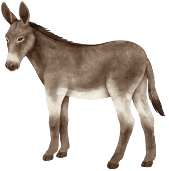 donkey watercolor farm animals png