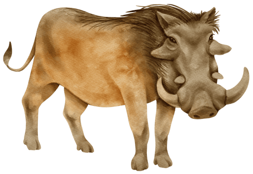 Warthog savanna animals watercolor illustration png