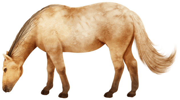 Brown Horse watercolor illustration png