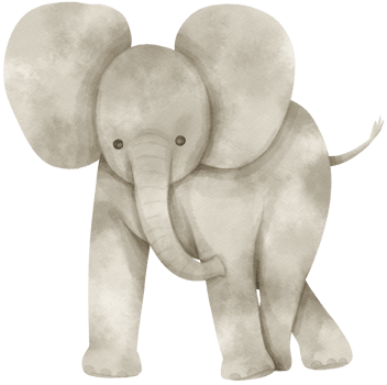 Cute Elephant Watercolor illustration png