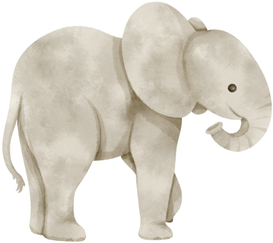 Cute Elephant Watercolor illustration png