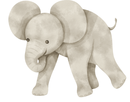 Cute Elephant Watercolor illustration png