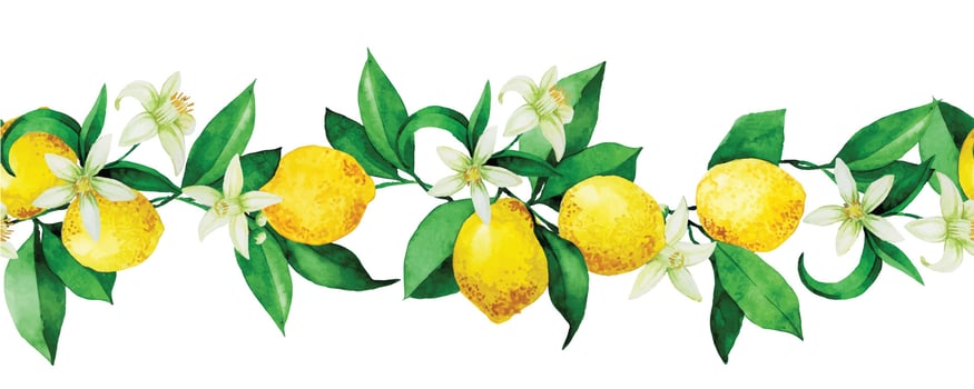 seamless watercolor pattern, border with lemons. yellow lemons, flowers and leaves on a white background. vintage print vector