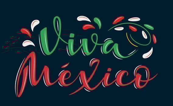 Viva Mexico. Traditional Mexican Holiday Phrase vector