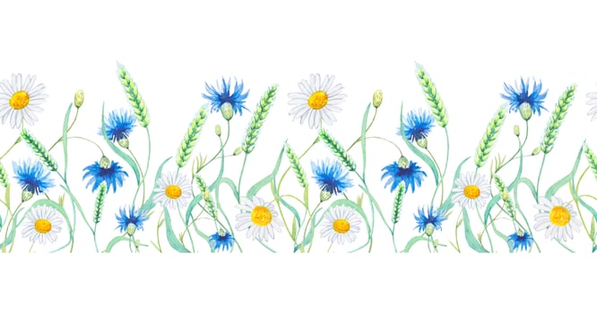 Seamless floral watercolor border of meadow flowers, cornflowers, daisies, spikelets of wheat vector