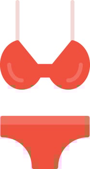 Bikini Flat Icon vector