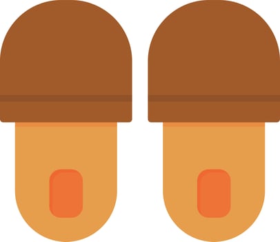 Slippers Flat Icon vector