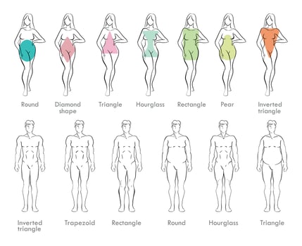 Male and Female Body Types vector