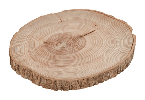 circular wooden planks isolated on white background with clipping path png