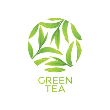 green tea leaves Vector illustration